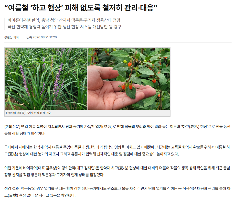 editor_image.php?ym=2608&fn=9b9d7677142d186fa92bd65e14aec9ae_1787806372_0762.png